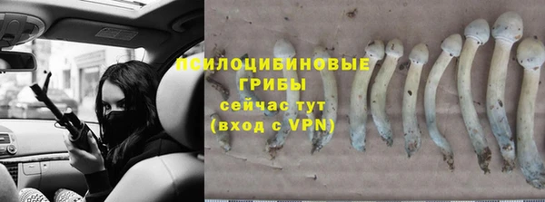 ECSTASY Армянск