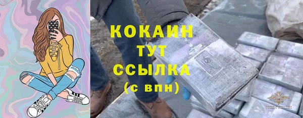 стафф Аркадак